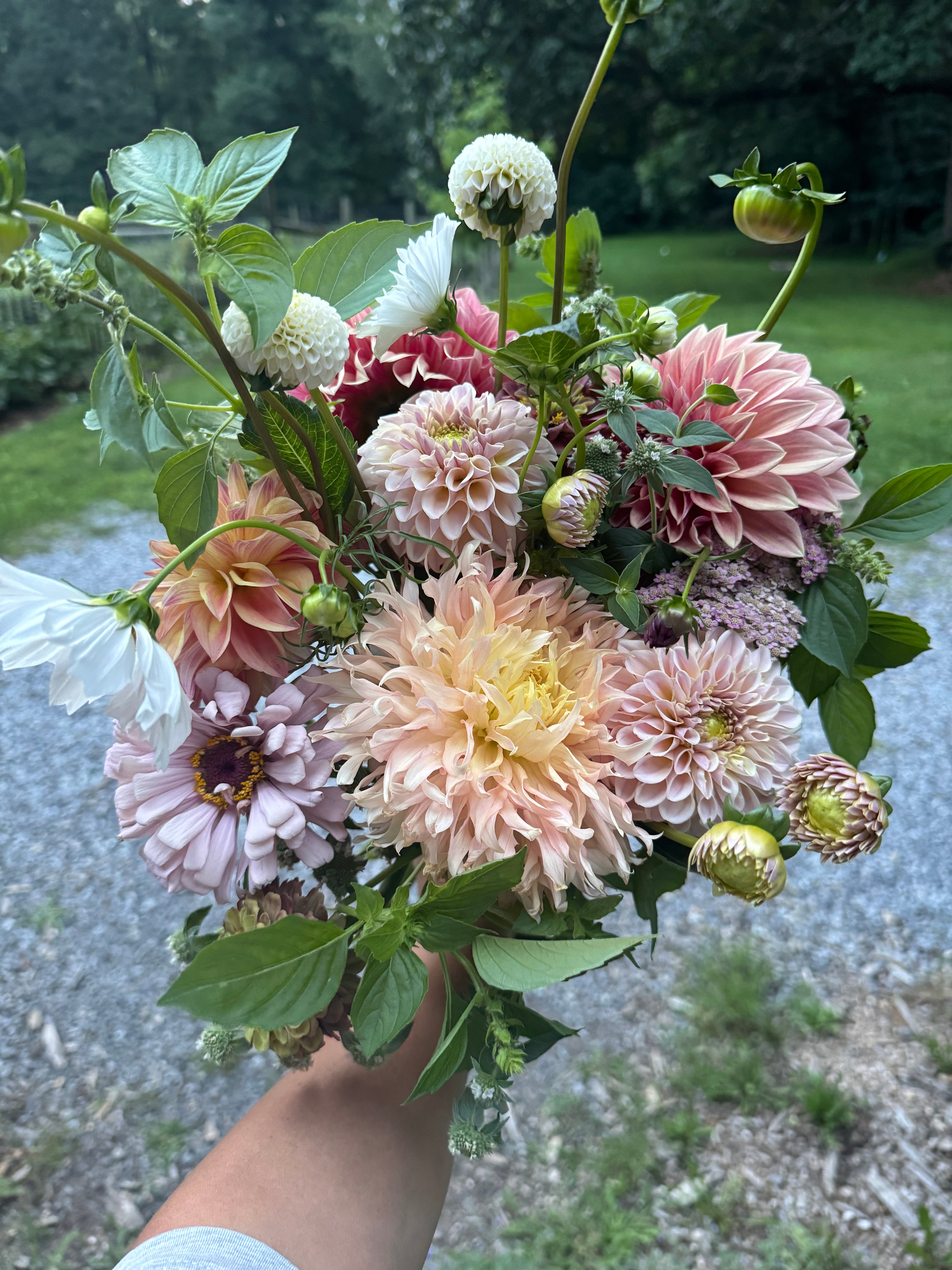 Lily Skelly x Fruit Hill Flowers Seasonal Bouquet